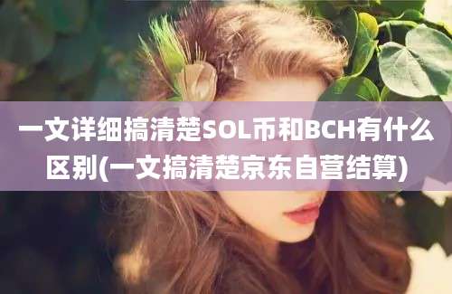 一文详细搞清楚SOL币和BCH有什么区别(一文搞清楚京东自营结算)