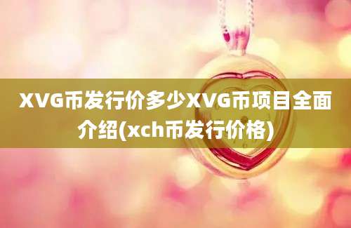 XVG币发行价多少XVG币项目全面介绍(xch币发行价格)