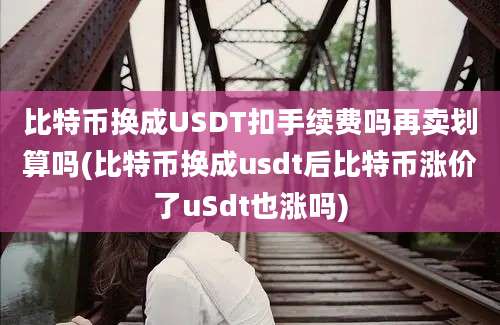 比特币换成USDT扣手续费吗再卖划算吗(比特币换成usdt后比特币涨价了uSdt也涨吗)