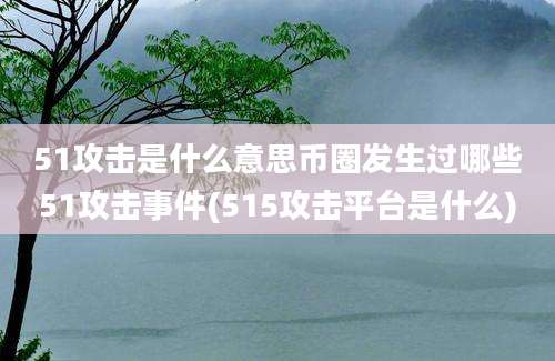 51攻击是什么意思币圈发生过哪些51攻击事件(515攻击平台是什么)