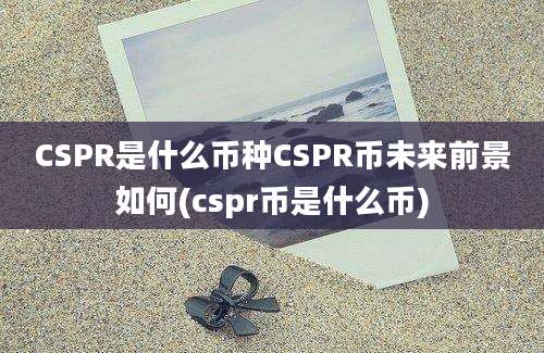 CSPR是什么币种CSPR币未来前景如何(cspr币是什么币)