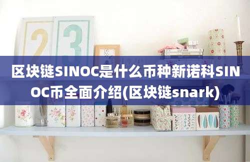 区块链SINOC是什么币种新诺科SINOC币全面介绍(区块链snark)