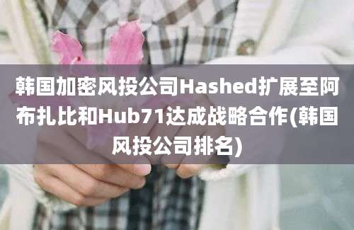 韩国加密风投公司Hashed扩展至阿布扎比和Hub71达成战略合作(韩国风投公司排名)