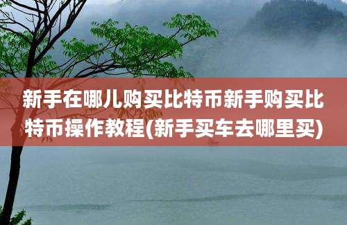 新手在哪儿购买比特币新手购买比特币操作教程(新手买车去哪里买)