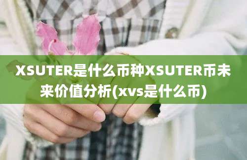 XSUTER是什么币种XSUTER币未来价值分析(xvs是什么币)