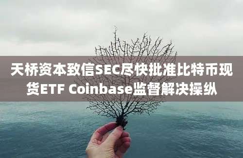 天桥资本致信SEC尽快批准比特币现货ETF Coinbase监督解决操纵