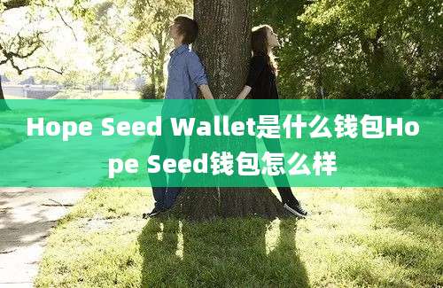 Hope Seed Wallet是什么钱包Hope Seed钱包怎么样