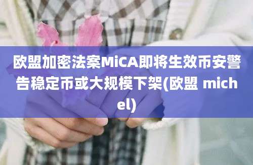 欧盟加密法案MiCA即将生效币安警告稳定币或大规模下架(欧盟 michel)