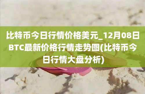 比特币今日行情价格美元_12月08日BTC最新价格行情走势图(比特币今日行情大盘分析)