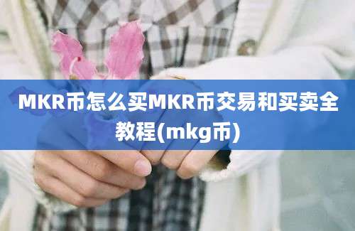 MKR币怎么买MKR币交易和买卖全教程(mkg币)