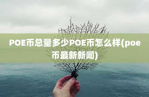 POE币总量多少POE币怎么样(poe币最新新闻)