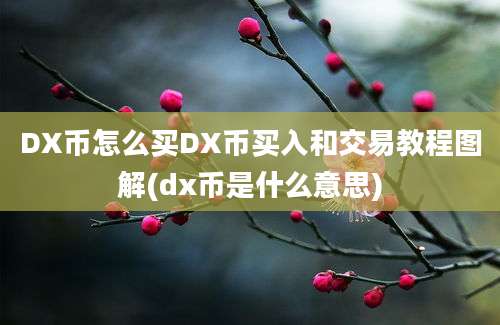 DX币怎么买DX币买入和交易教程图解(dx币是什么意思)