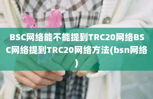 BSC网络能不能提到TRC20网络BSC网络提到TRC20网络方法(bsn网络)