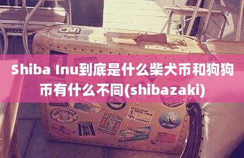 Shiba Inu到底是什么柴犬币和狗狗币有什么不同(shibazaki)