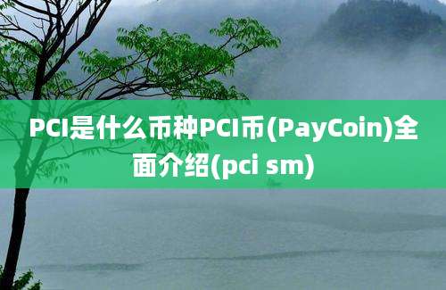 PCI是什么币种PCI币(PayCoin)全面介绍(pci sm)