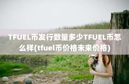 TFUEL币发行数量多少TFUEL币怎么样(tfuel币价格未来价格)