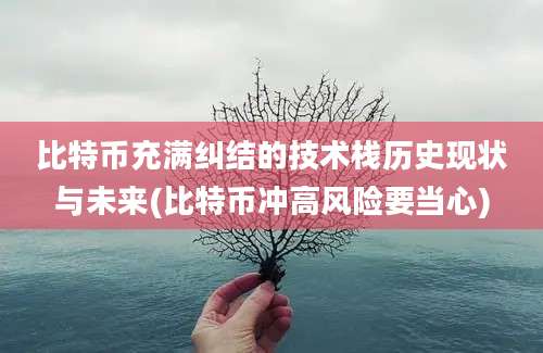 比特币充满纠结的技术栈历史现状与未来(比特币冲高风险要当心)