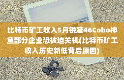 比特币矿工收入5月锐减46Cobo神鱼部分企业恐被迫关机(比特币矿工收入历史新低背后原因)