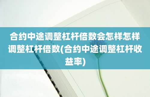 合约中途调整杠杆倍数会怎样怎样调整杠杆倍数(合约中途调整杠杆收益率)