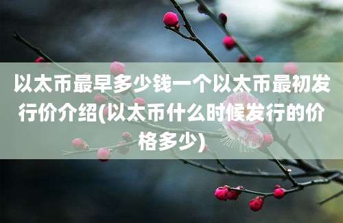 以太币最早多少钱一个以太币最初发行价介绍(以太币什么时候发行的价格多少)