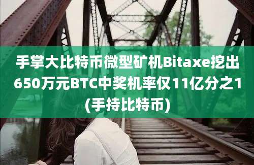 手掌大比特币微型矿机Bitaxe挖出650万元BTC中奖机率仅11亿分之1(手持比特币)