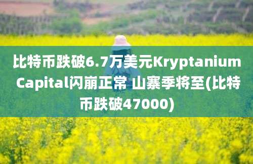 比特币跌破6.7万美元Kryptanium Capital闪崩正常 山寨季将至(比特币跌破47000)