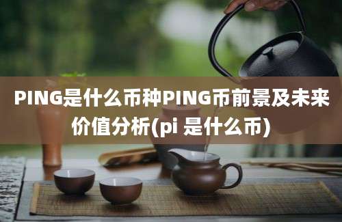 PING是什么币种PING币前景及未来价值分析(pi 是什么币)