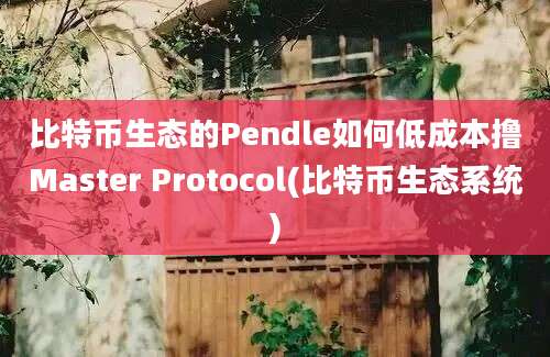 比特币生态的Pendle如何低成本撸Master Protocol(比特币生态系统)