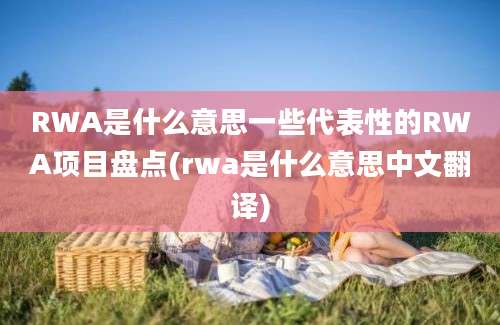 RWA是什么意思一些代表性的RWA项目盘点(rwa是什么意思中文翻译)