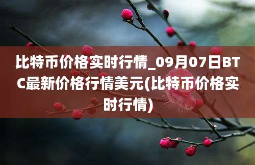 比特币价格实时行情_09月07日BTC最新价格行情美元(比特币价格实时行情)