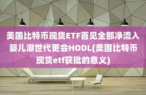 美国比特币现货ETF首见全部净流入婴儿潮世代更会HODL(美国比特币现货etf获批的意义)