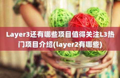 Layer3还有哪些项目值得关注L3热门项目介绍(layer2有哪些)