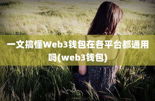 一文搞懂Web3钱包在各平台都通用吗(web3钱包)