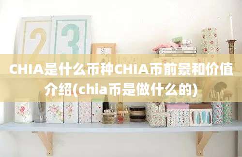 CHIA是什么币种CHIA币前景和价值介绍(chia币是做什么的)