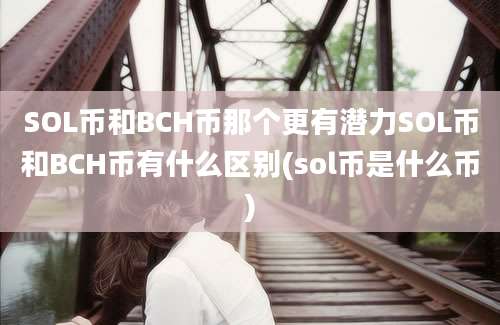 SOL币和BCH币那个更有潜力SOL币和BCH币有什么区别(sol币是什么币)