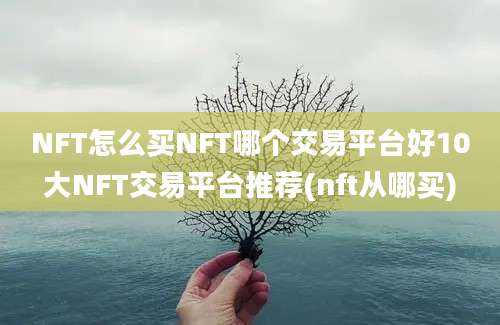 NFT怎么买NFT哪个交易平台好10大NFT交易平台推荐(nft从哪买)