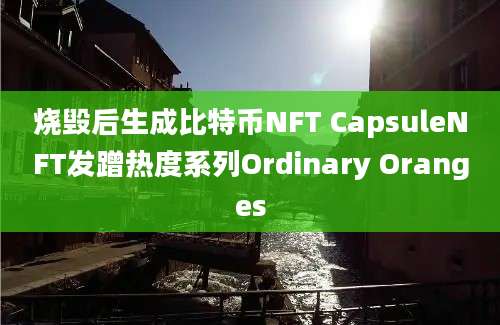 烧毁后生成比特币NFT CapsuleNFT发蹭热度系列Ordinary Oranges