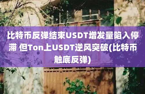 比特币反弹结束USDT增发量陷入停滞 但Ton上USDT逆风突破(比特币触底反弹)