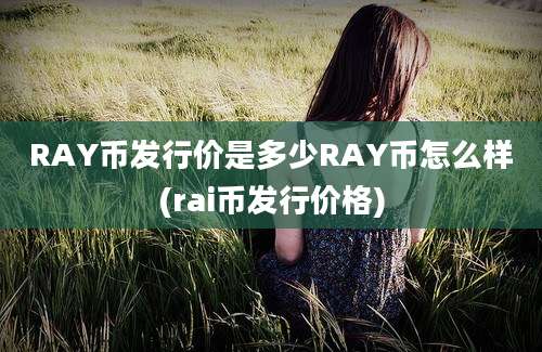 RAY币发行价是多少RAY币怎么样(rai币发行价格)