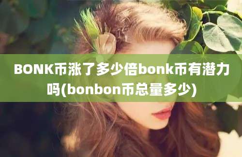 BONK币涨了多少倍bonk币有潜力吗(bonbon币总量多少)