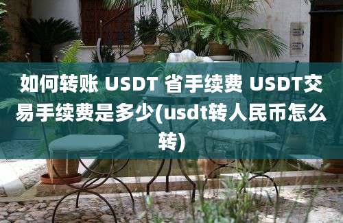 如何转账 USDT 省手续费 USDT交易手续费是多少(usdt转人民币怎么转)