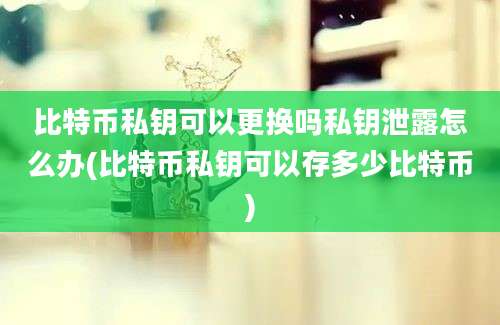 比特币私钥可以更换吗私钥泄露怎么办(比特币私钥可以存多少比特币)