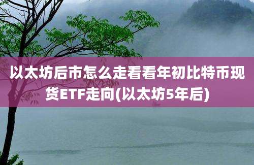 以太坊后市怎么走看看年初比特币现货ETF走向(以太坊5年后)