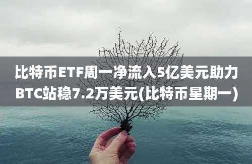 比特币ETF周一净流入5亿美元助力BTC站稳7.2万美元(比特币星期一)