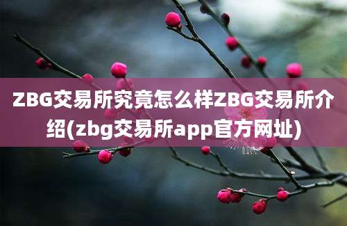 ZBG交易所究竟怎么样ZBG交易所介绍(zbg交易所app官方网址)