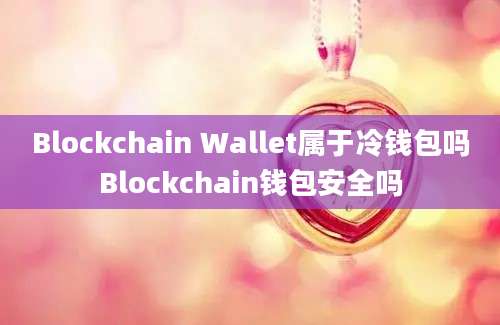 Blockchain Wallet属于冷钱包吗Blockchain钱包安全吗