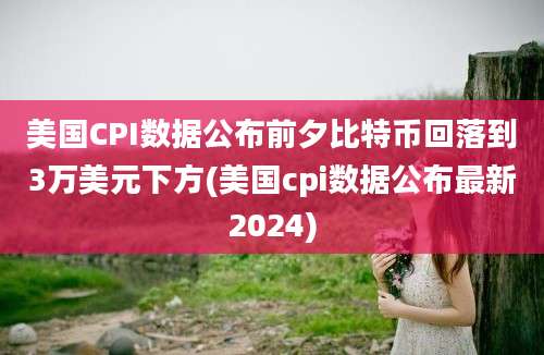 美国CPI数据公布前夕比特币回落到3万美元下方(美国cpi数据公布最新2024)