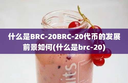 什么是BRC-20BRC-20代币的发展前景如何(什么是brc-20)