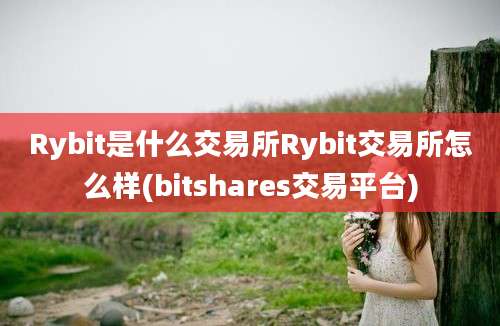 Rybit是什么交易所Rybit交易所怎么样(bitshares交易平台)