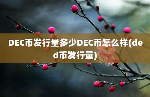 DEC币发行量多少DEC币怎么样(ded币发行量)